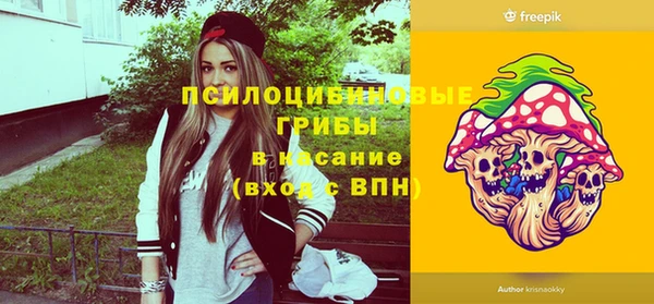 первитин Осинники