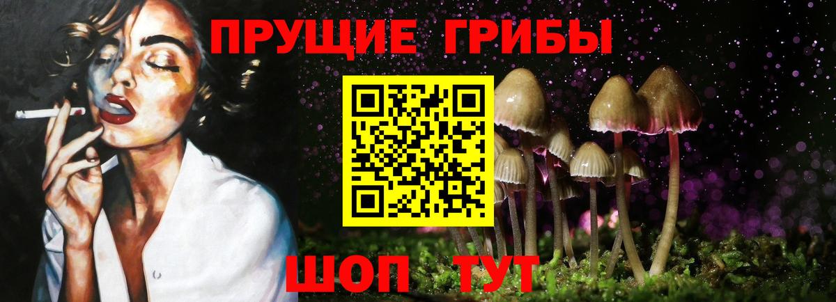 Псилоцибиновые грибы Cubensis  Вход с VPN  Прохладный  Галлюциногенные грибы ЛСД 