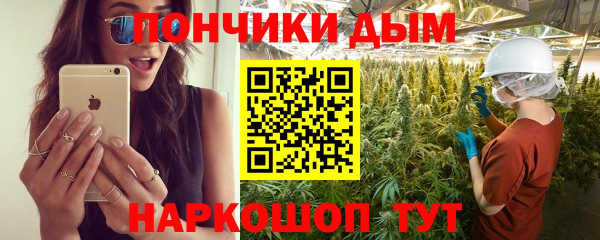Каннабис ГИДРОПОН  Бошки Шишки SATIVA & INDICA  Вход с VPN  Прохладный 